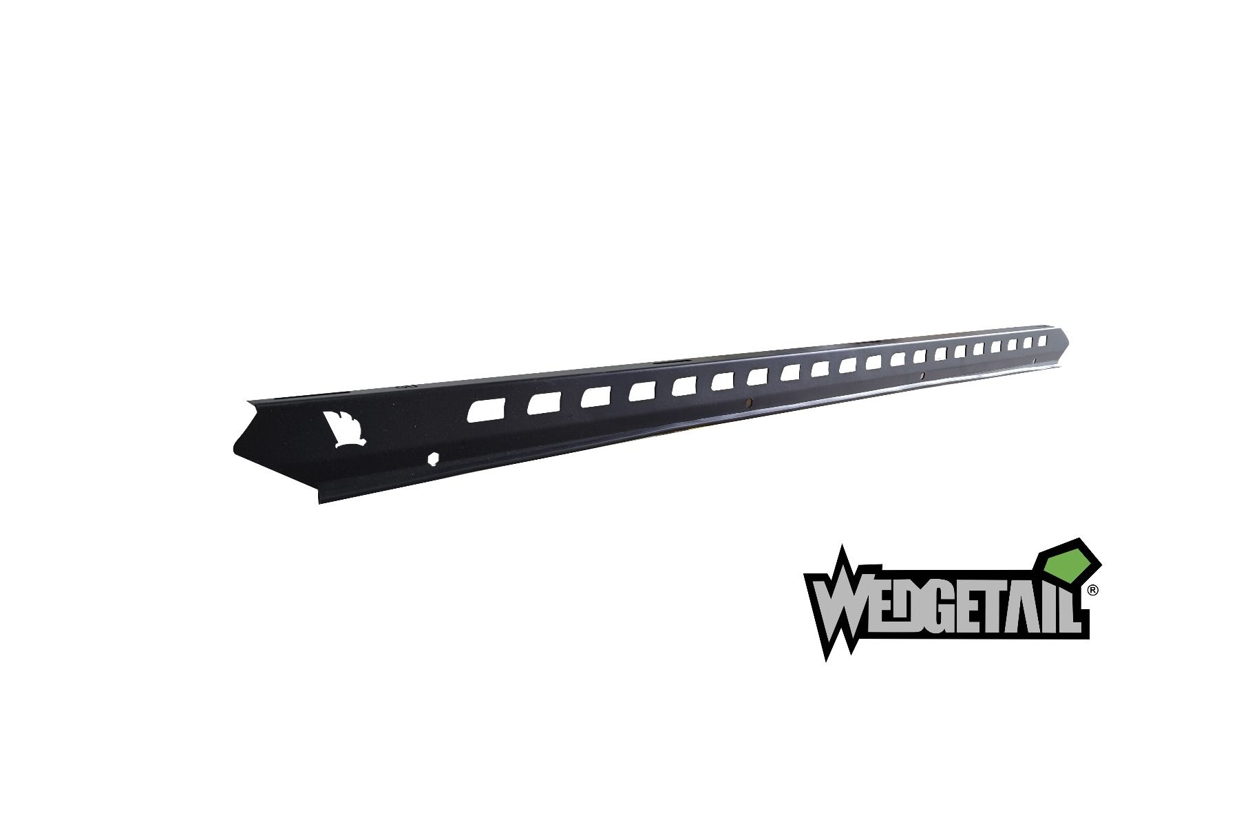 wedgetailraillarge_16.jpg